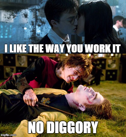 No Diggory | I LIKE THE WAY YOU WORK IT; NO DIGGORY | image tagged in potter,diggory,blackstreet | made w/ Imgflip meme maker