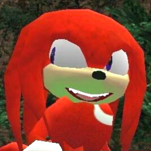 High Quality The face you make Knuckles Blank Meme Template
