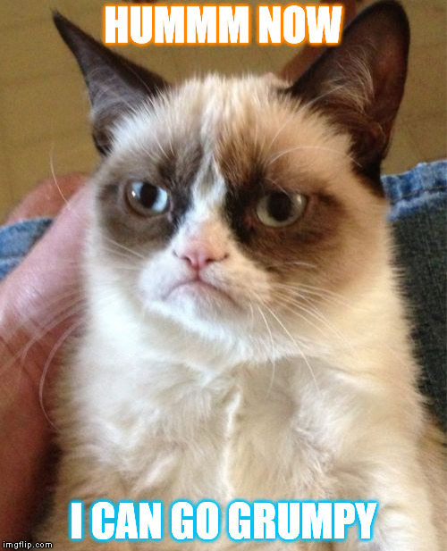 Grumpy Cat Meme | HUMMM NOW; I CAN GO GRUMPY | image tagged in memes,grumpy cat | made w/ Imgflip meme maker
