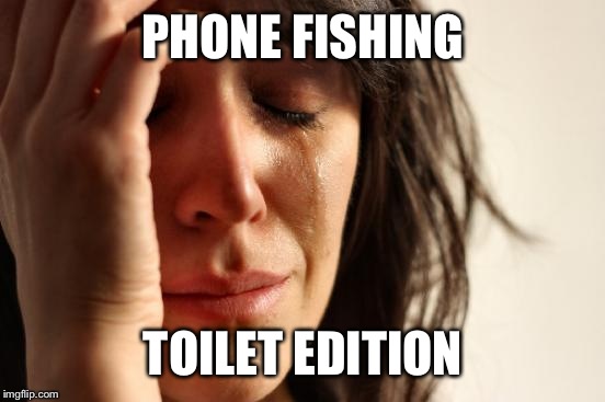 First World Problems Meme | PHONE FISHING TOILET EDITION | image tagged in memes,first world problems | made w/ Imgflip meme maker