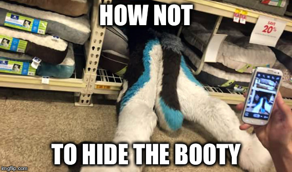 How NOT To Hide The Booty | HOW NOT; TO HIDE THE BOOTY | image tagged in butt,furry,fursuit | made w/ Imgflip meme maker