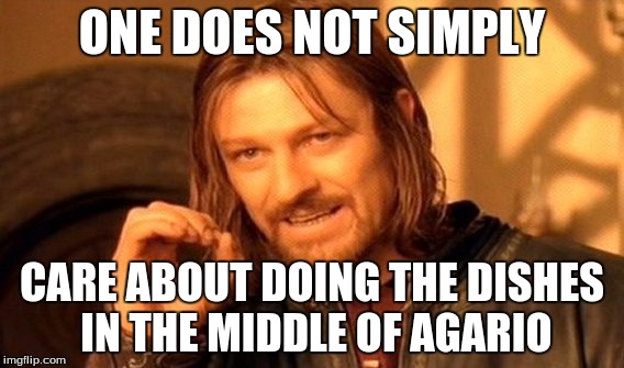 One Does Not Simply Meme | ONE DOES NOT SIMPLY CARE ABOUT DOING THE DISHES IN THE MIDDLE OF AGARIO | image tagged in memes,one does not simply | made w/ Imgflip meme maker