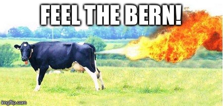 Feel the Bern! |  FEEL THE BERN! | image tagged in democrats,primary,bernie sanders | made w/ Imgflip meme maker