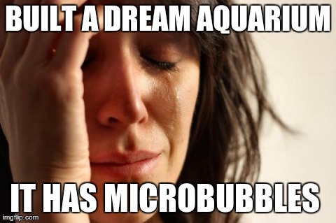 First World Problems Meme | BUILT A DREAM AQUARIUM IT HAS MICROBUBBLES  | image tagged in memes,first world problems | made w/ Imgflip meme maker