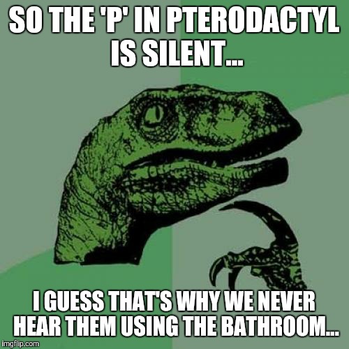 Philosoraptor | SO THE 'P' IN PTERODACTYL IS SILENT... I GUESS THAT'S WHY WE NEVER HEAR THEM USING THE BATHROOM... | image tagged in memes,philosoraptor | made w/ Imgflip meme maker