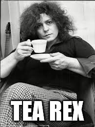 This is Marc Bolan lead singer of T-Rex. But that's none of my business. | TEA REX | image tagged in memes,t rex,music,marc bolan,tea | made w/ Imgflip meme maker