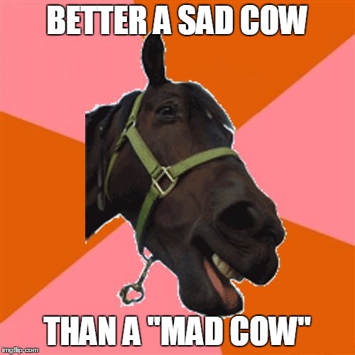 Anti-Joke Horse | BETTER A SAD COW THAN A "MAD COW" | image tagged in anti-joke horse | made w/ Imgflip meme maker