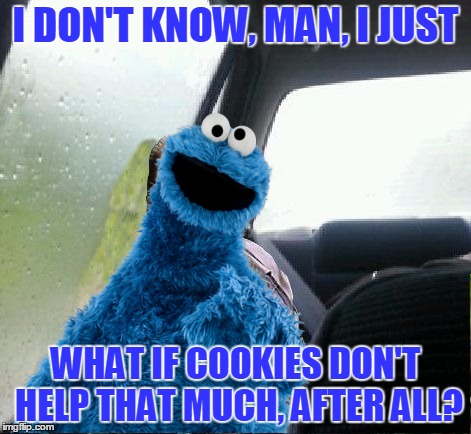 I DON'T KNOW, MAN, I JUST WHAT IF COOKIES DON'T HELP THAT MUCH, AFTER ALL? | made w/ Imgflip meme maker