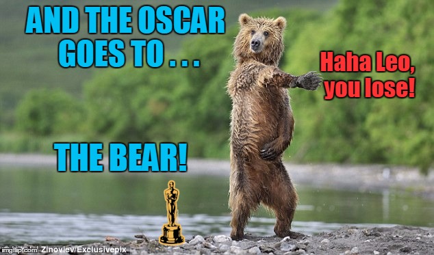 AND THE OSCAR GOES TO . . . THE BEAR! Haha Leo, you lose! | made w/ Imgflip meme maker
