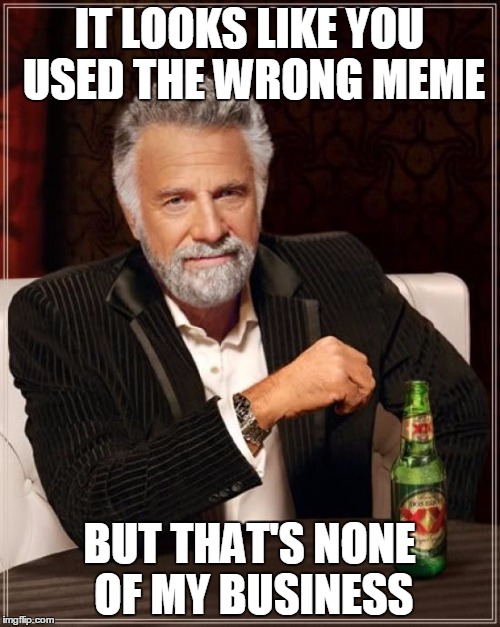 The Most Interesting Man In The World Meme | IT LOOKS LIKE YOU USED THE WRONG MEME BUT THAT'S NONE OF MY BUSINESS | image tagged in memes,the most interesting man in the world | made w/ Imgflip meme maker