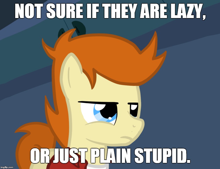 NOT SURE IF THEY ARE LAZY, OR JUST PLAIN STUPID. | image tagged in futurama fry pony | made w/ Imgflip meme maker