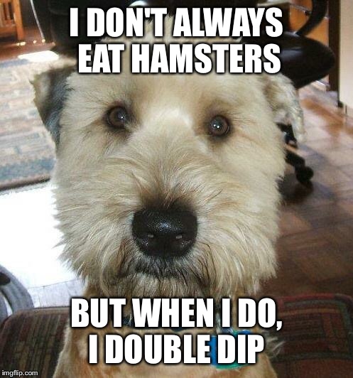 I DON'T ALWAYS EAT HAMSTERS; BUT WHEN I DO, I DOUBLE DIP | image tagged in the most interesting dog in the world | made w/ Imgflip meme maker