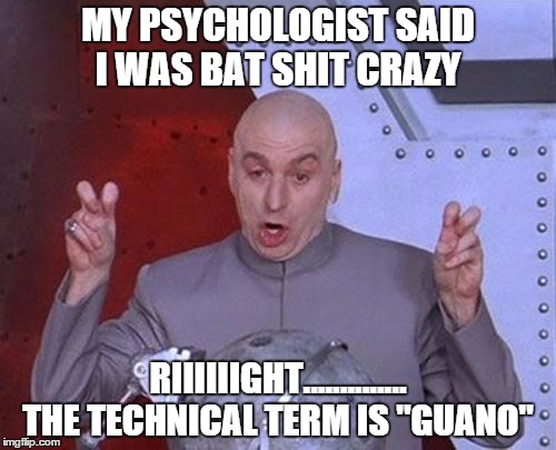 And I'm the crazy one | MY PSYCHOLOGIST SAID I WAS BAT SHIT CRAZY; RIIIIIIGHT.............. THE TECHNICAL TERM IS "GUANO" | image tagged in memes,dr evil laser | made w/ Imgflip meme maker