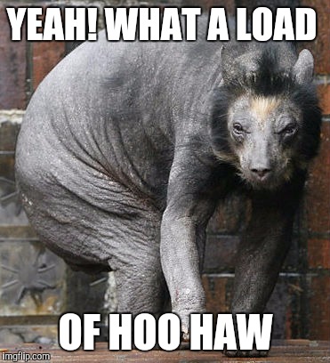 YEAH! WHAT A LOAD OF HOO HAW | made w/ Imgflip meme maker