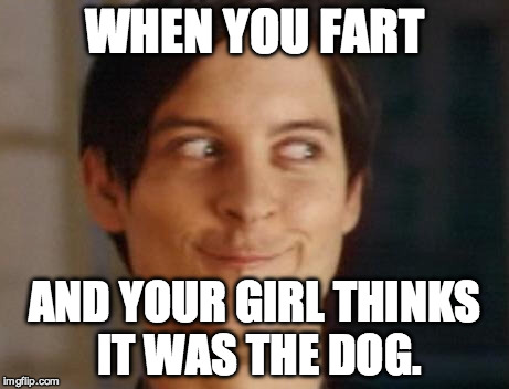 Spiderman Peter Parker | WHEN YOU FART; AND YOUR GIRL THINKS IT WAS THE DOG. | image tagged in memes,spiderman peter parker | made w/ Imgflip meme maker