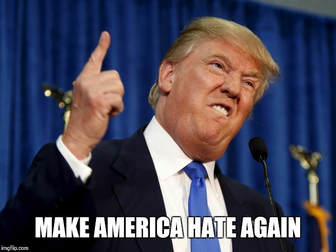 Donald Trump 13 | MAKE AMERICA HATE AGAIN | image tagged in donald trump 13 | made w/ Imgflip meme maker