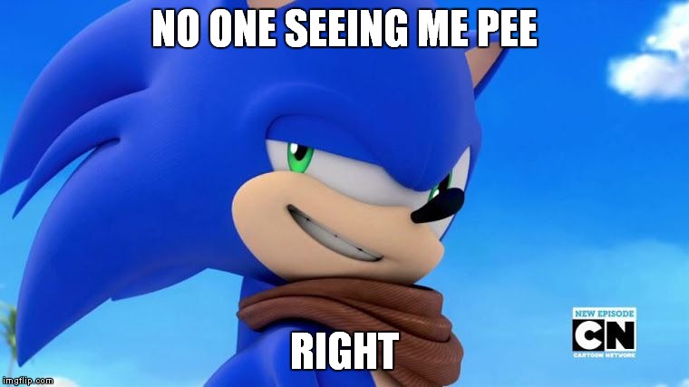 Sonic Meme |  NO ONE SEEING ME PEE; RIGHT | image tagged in sonic meme | made w/ Imgflip meme maker