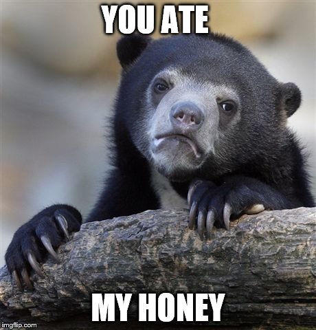 Confession Bear Meme | YOU ATE; MY HONEY | image tagged in memes,confession bear | made w/ Imgflip meme maker