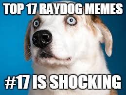 I still can't get over the ads, so I decided to make some fun. | TOP 17 RAYDOG MEMES; #17 IS SHOCKING | image tagged in ads,raydog | made w/ Imgflip meme maker