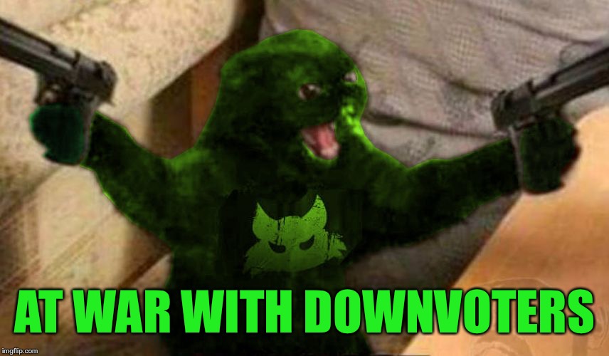 RayCat Angry | AT WAR WITH DOWNVOTERS | image tagged in raycat angry | made w/ Imgflip meme maker