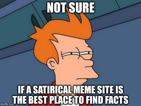 Futurama Fry | NOT SURE; IF A SATIRICAL MEME SITE IS THE BEST PLACE TO FIND FACTS | image tagged in memes,futurama fry | made w/ Imgflip meme maker