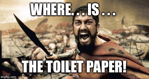 Porta Potties | WHERE. . . IS . . . THE TOILET PAPER! | image tagged in memes,sparta leonidas | made w/ Imgflip meme maker