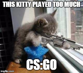 CatSniper | THIS KITTY PLAYED TOO MUCH; CS:GO | image tagged in catsniper | made w/ Imgflip meme maker