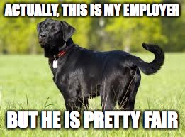 ACTUALLY, THIS IS MY EMPLOYER BUT HE IS PRETTY FAIR | made w/ Imgflip meme maker