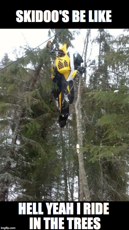 SKIDOO'S BE LIKE; HELL YEAH I RIDE IN THE TREES | made w/ Imgflip meme maker