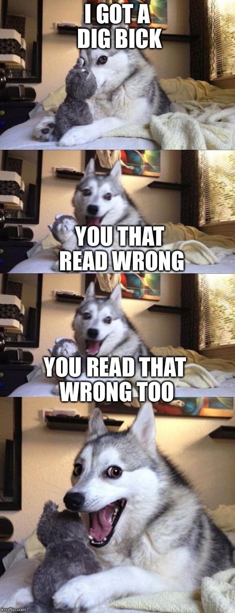 Bad Pun Dog Long Extra Panel | I GOT A DIG BICK; YOU THAT READ WRONG; YOU READ THAT WRONG TOO | image tagged in bad pun dog long extra panel | made w/ Imgflip meme maker