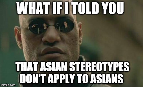 Matrix Morpheus Meme | WHAT IF I TOLD YOU; THAT ASIAN STEREOTYPES DON'T APPLY TO ASIANS | image tagged in memes,matrix morpheus | made w/ Imgflip meme maker