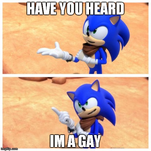 Sonic boom | HAVE YOU HEARD; IM A GAY | image tagged in sonic boom | made w/ Imgflip meme maker