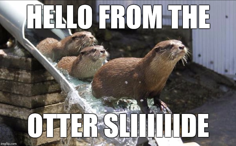 Hello (: | HELLO FROM THE; OTTER SLIIIIIIDE | image tagged in memes,funny,adele hello | made w/ Imgflip meme maker