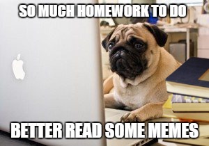 This Sounds Like More Fun... | SO MUCH HOMEWORK TO DO; BETTER READ SOME MEMES | image tagged in homework,funny memes,funny,dog,meme,AdviceAnimals | made w/ Imgflip meme maker