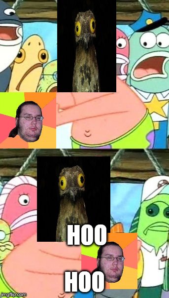 Put It Somewhere Else Patrick Meme | HOO; HOO | image tagged in memes,put it somewhere else patrick | made w/ Imgflip meme maker