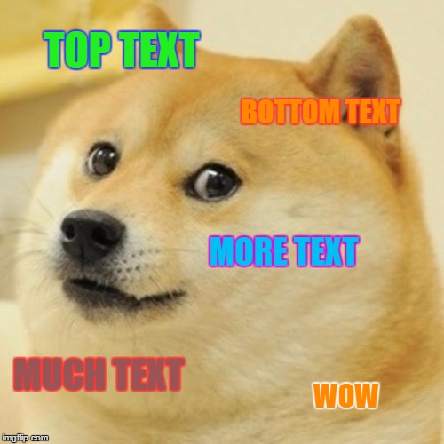 Doge | TOP TEXT; BOTTOM TEXT; MORE TEXT; MUCH TEXT; WOW | image tagged in memes,doge | made w/ Imgflip meme maker